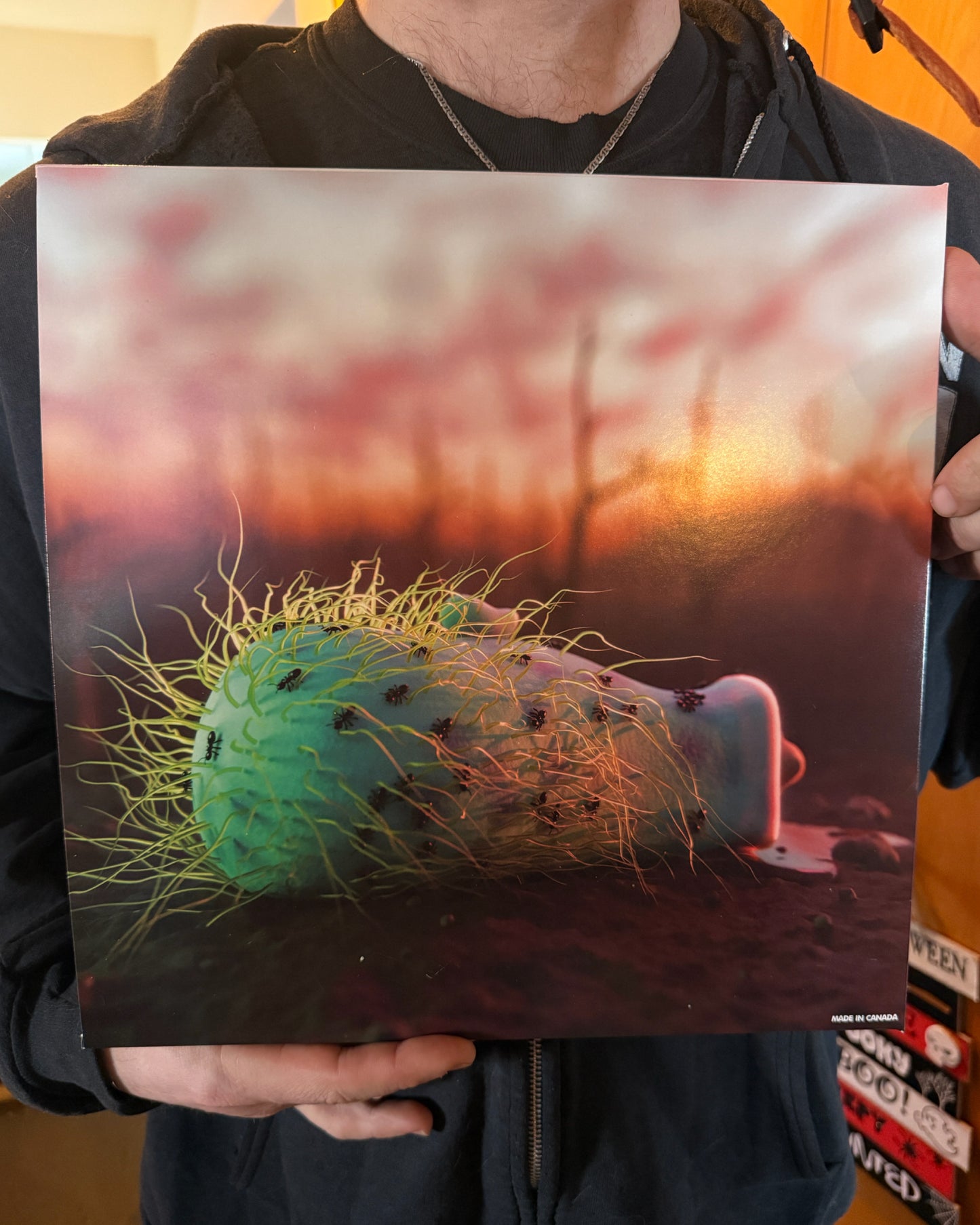 'Songs In The Key Of SUMPP' 12 Inch PINK Vinyl