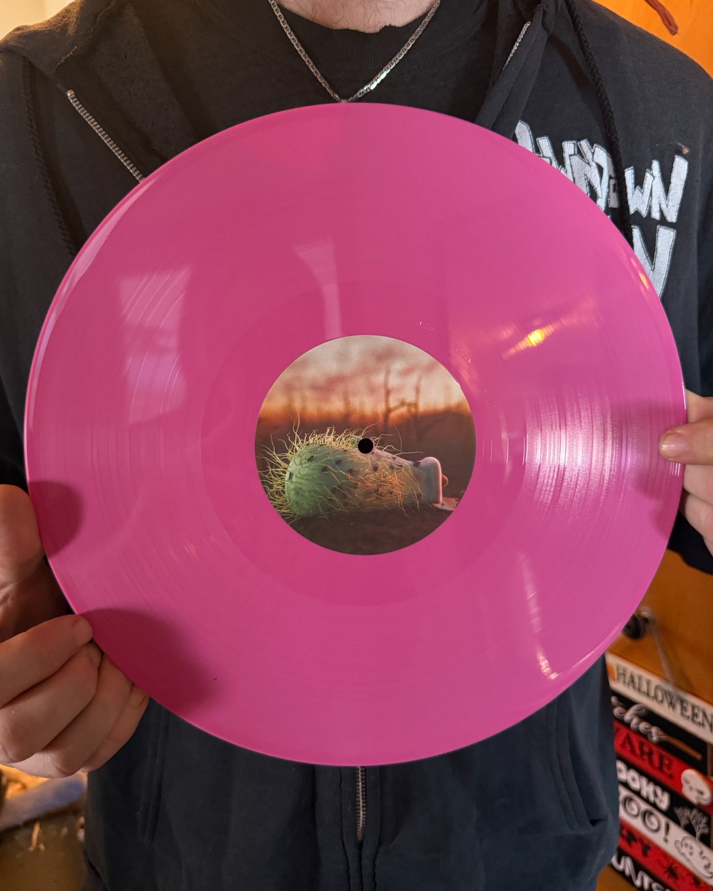 'Songs In The Key Of SUMPP' 12 Inch PINK Vinyl